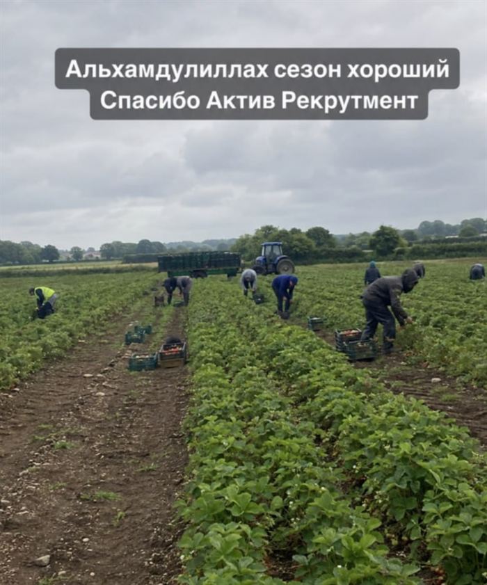 Сообщение от наших ребят с сезона